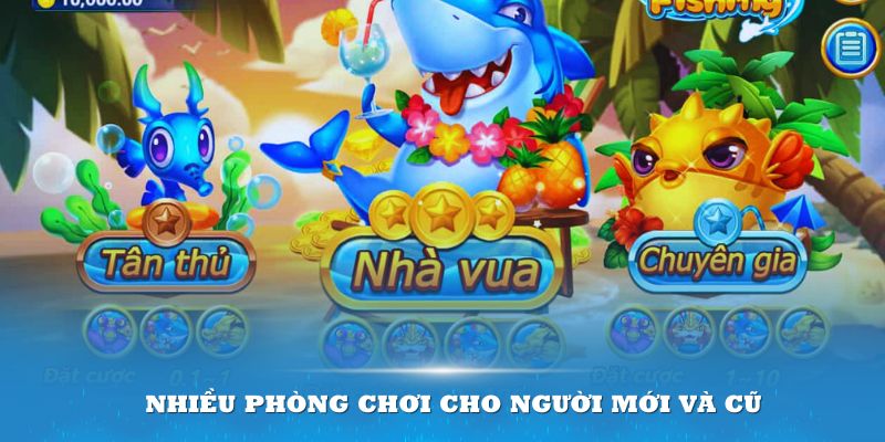 Nhiều phòng chơi cho người mới và cũ